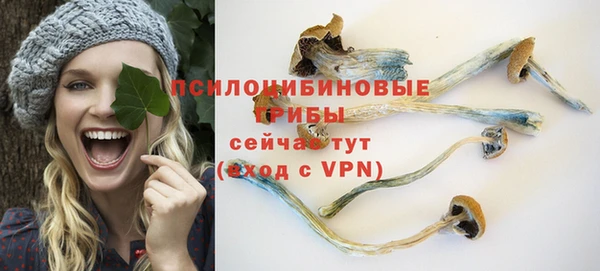 гидропоника Горняк