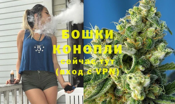 гидропоника Горняк