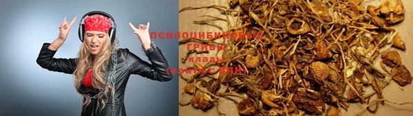 гидропоника Горняк