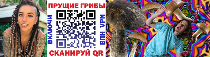 Псилоцибиновые грибы мухоморы Купить где Михайловка